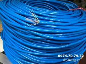 cáp mạng cat6e xanh 1